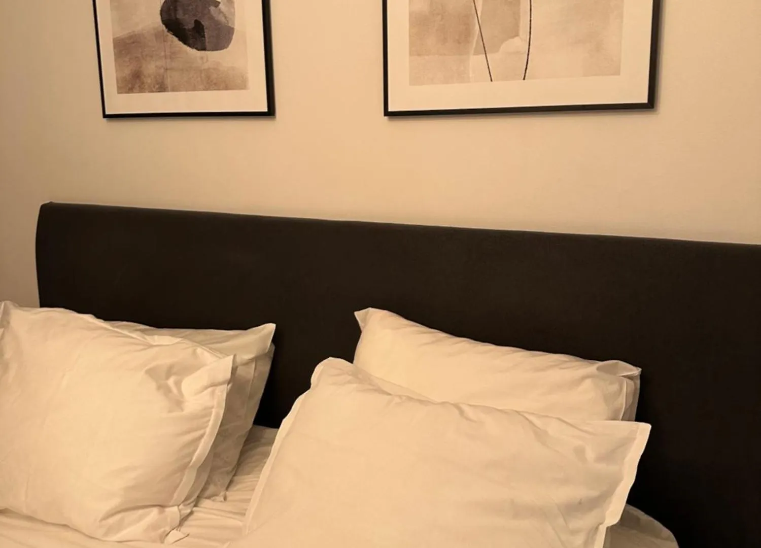 Trump Apartment Stockholm